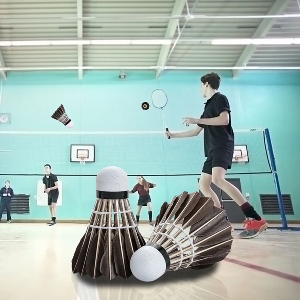 3/6/12Pcs Household Sport Trai - đánh giá và giá Feather Shuttlecock