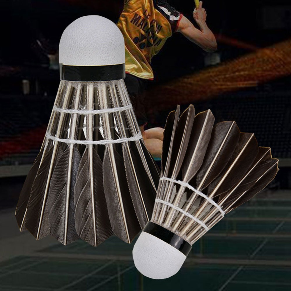 3/6/12Pcs Household Sport Trai - đánh giá và giá Feather Shuttlecock