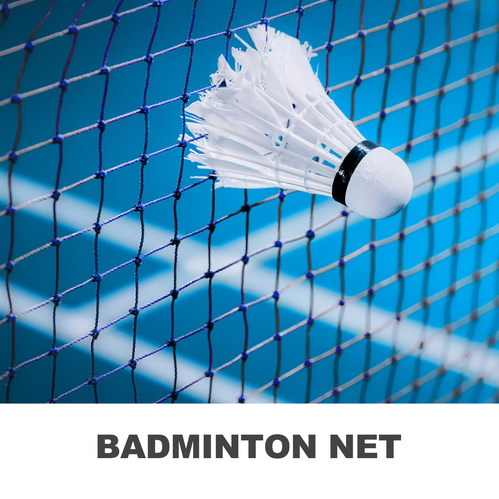 Badminton Net Standard Size Sm - đánh giá và giá Badminton Net